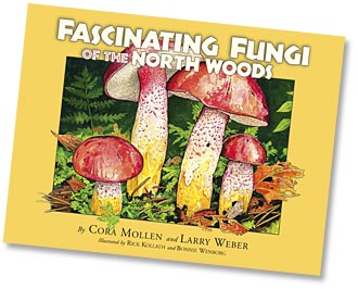 Fascinating Fungi of the North Woods